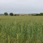 Ca La Caterina