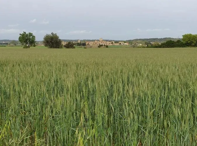 Ca La Caterina